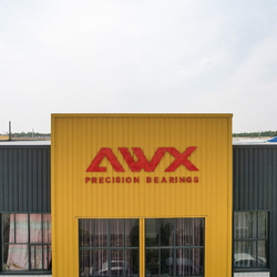 Shandong Awx Bearing  Co., Ltd. خط تولید تولید کننده